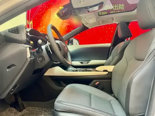 Lexus RZ 2023 (17000 км)