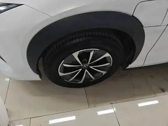 Lexus RZ 2023 (17000 км)