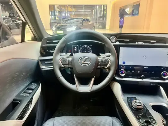 Lexus RZ 2023 (17000 км)