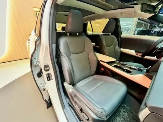 Lexus RZ 2023 (17000 км)