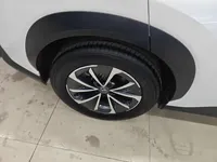 Lexus RZ 2023 (17000 км)