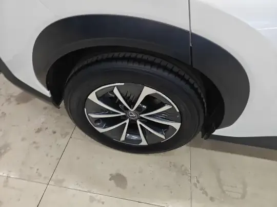 Lexus RZ 2023 (17000 км)