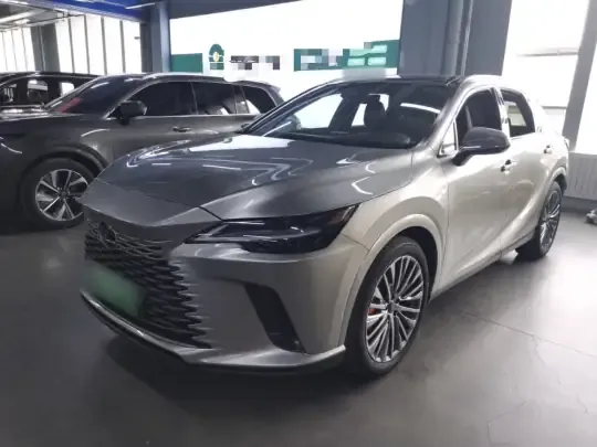 Lexus RX New Energy 2023 (21600 км)