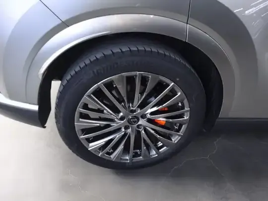 Lexus RX New Energy 2023 (21600 км)