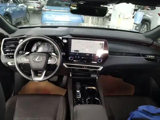 Lexus RX New Energy 2023 (21600 км)