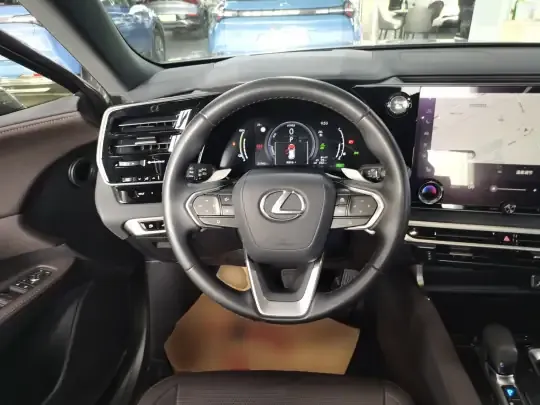 Lexus RX New Energy 2023 (21600 км)