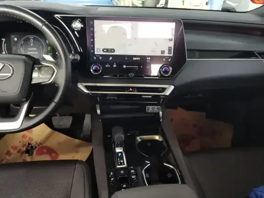 Lexus RX New Energy 2023 (21600 км)