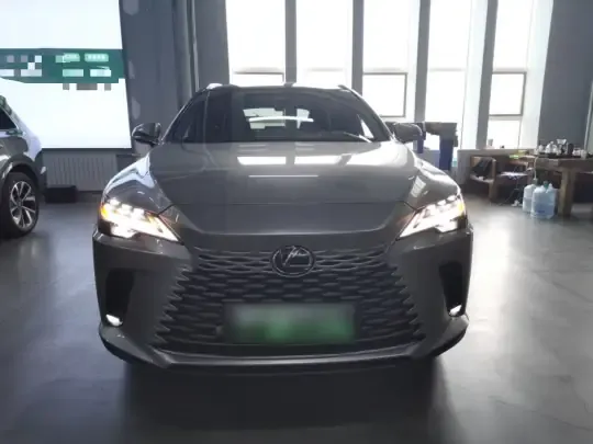 Lexus RX New Energy 2023 (21600 км)