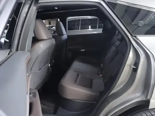 Lexus RX New Energy 2023 (21600 км)