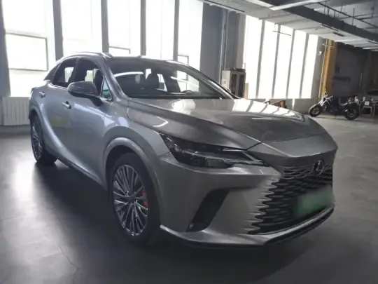 Lexus RX New Energy 2023 (21600 км)
