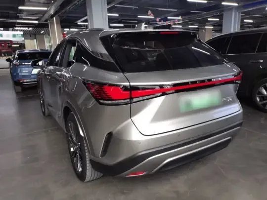 Lexus RX New Energy 2023 (21600 км)