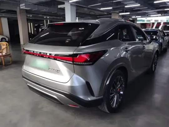 Lexus RX New Energy 2023 (21600 км)