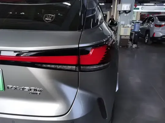 Lexus RX New Energy 2023 (21600 км)