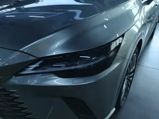 Lexus RX New Energy 2023 (21600 км)