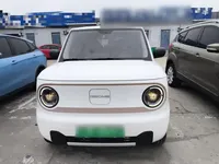 Geely Galaxy Panda 2023 (9700 км)