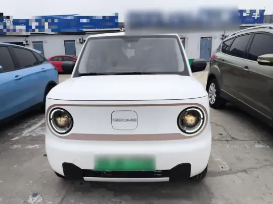 Geely Galaxy Panda 2023 (9700 км)