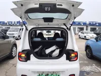 Geely Galaxy Panda 2023 (9700 км)