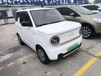 Geely Galaxy Panda 2023 (9700 км)