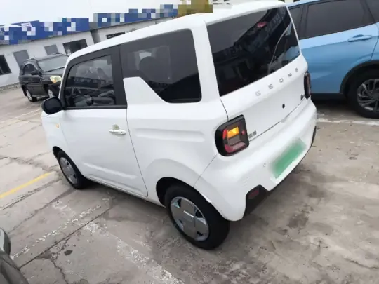 Geely Galaxy Panda 2023 (9700 км)