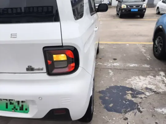 Geely Galaxy Panda 2023 (9700 км)