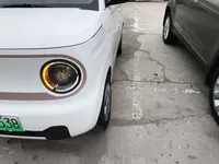 Geely Galaxy Panda 2023 (9700 км)