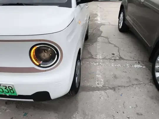 Geely Galaxy Panda 2023 (9700 км)