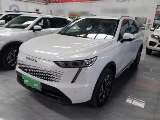 Haval Fierce Dragon Max 2023 (200 км)