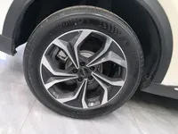 Haval Fierce Dragon Max 2023 (200 км)