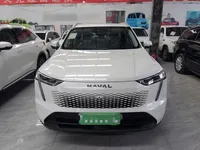 Haval Fierce Dragon Max 2023 (200 км)