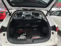 Haval Fierce Dragon Max 2023 (200 км)