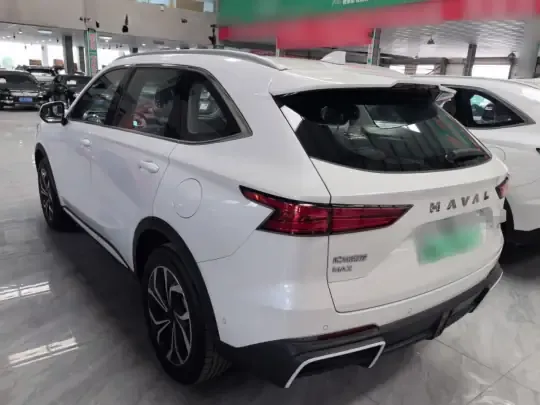 Haval Fierce Dragon Max 2023 (200 км)