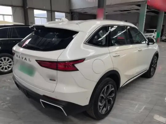 Haval Fierce Dragon Max 2023 (200 км)