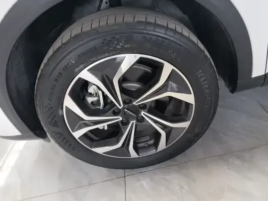 Haval Fierce Dragon Max 2023 (200 км)