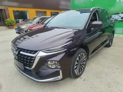 Wuling Victory 2023 (42900 км)