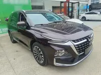 Wuling Victory 2023 (42900 км)