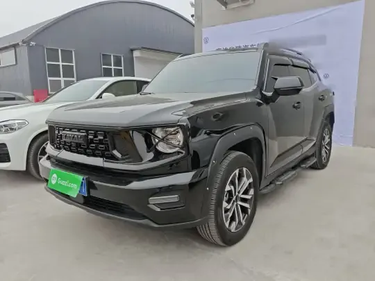 Haval H Dog 2023 (6100 км)