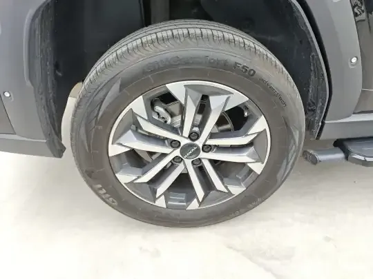 Haval H Dog 2023 (6100 км)