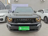 Haval H Dog 2023 (6100 км)