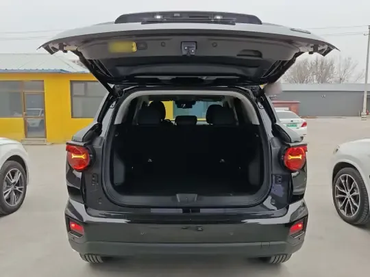 Haval H Dog 2023 (6100 км)