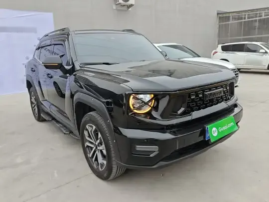 Haval H Dog 2023 (6100 км)