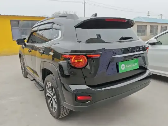 Haval H Dog 2023 (6100 км)