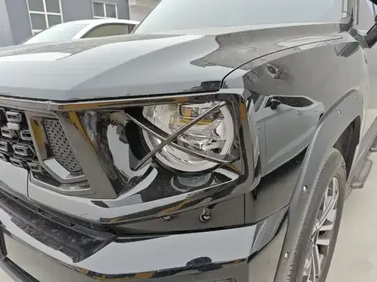 Haval H Dog 2023 (6100 км)