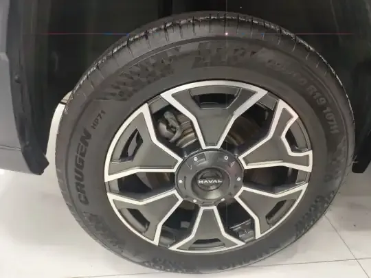 Haval H Dog New Energy 2023 (47600 км)