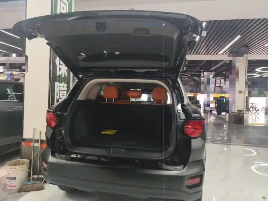 Haval H Dog New Energy 2023 (47600 км)