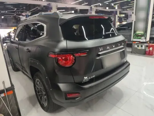 Haval H Dog New Energy 2023 (47600 км)
