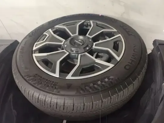 Haval H Dog New Energy 2023 (47600 км)
