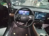 Leapmotor C01 2023 (58600 км)