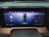 Leapmotor C01 2023 (58600 км)