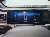 Leapmotor C01 2023 (21500 км)