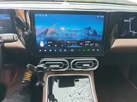 Leapmotor C01 2023 (21500 км)